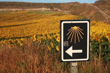 Camino de Santiago, Muschel, Pilger