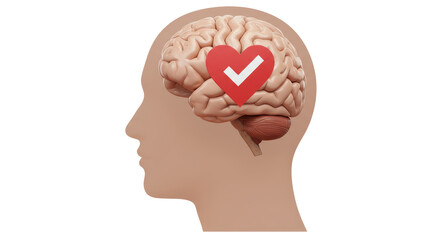 Isolated Brain with Heart and Check Mark for Positive Thinking