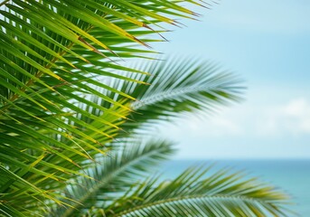 Obraz premium 輝く緑の葉 穏やかな海を背景に 鮮やかな自然