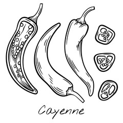 Hand-drawn black and white vector illustration of whole and sliced cayenne peppers. Perfect for food packaging, restaurant menus, and spicy ingredient branding.