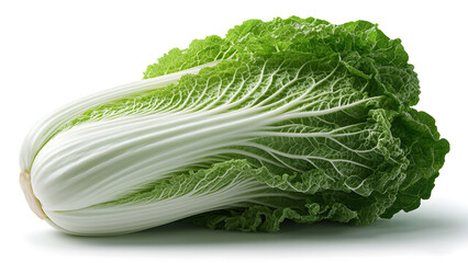 chinese cabbage