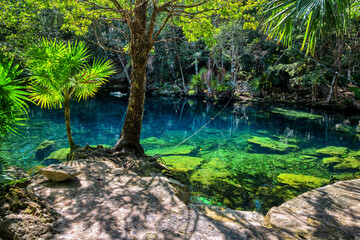 An open cenote near Tulum city, Yucatan, Mexico