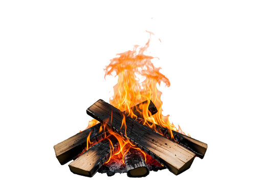 recommend clip art: Burning Wood Fire Campfire Flames isolated on transparent background
