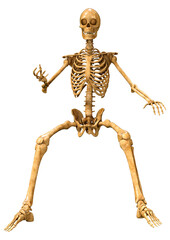 3D Rendering Human Skeleton on White