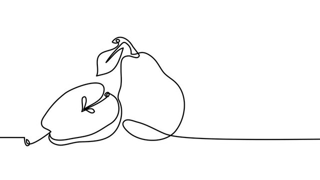 Pear single line animated illustration. One continuous self drawing line animation, footage with pear