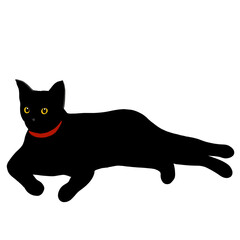 Black cat in my room 06