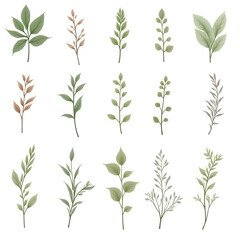 Fototapeta premium Illustration of various leaves and flowers