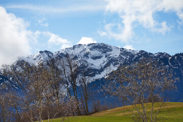  schneebedeckter Rossberg mit blühenden Bäumen im Frühling