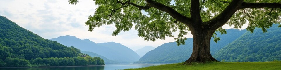 Naklejka premium A large tree is in the foreground of a beautiful mountain landscape. The tree is surrounded by a lush green field and a calm lake. The scene is serene and peaceful