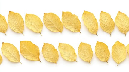 Naklejka premium Two rows of autumn leaves on white background