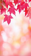 Fototapeta premium Autumn maple leaves, vibrant colors, blurred background, nature scene, stock photography