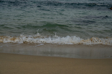 Peaceful Seaside Scene with Soft Waves and Golden Sand