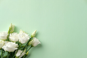 Bunch of lisianthus flowers on a light green background