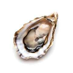 Naklejka premium Fresh raw oyster in its shell on a white background