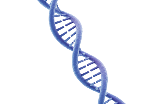 DNA Helix Genetics Science Biology isolated on transparent background