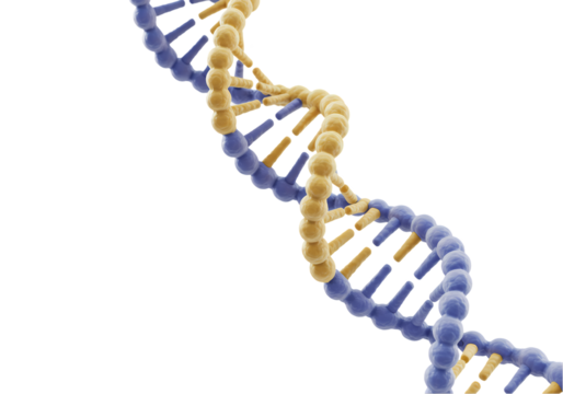 DNA Helix Science Background Image isolated on transparent background