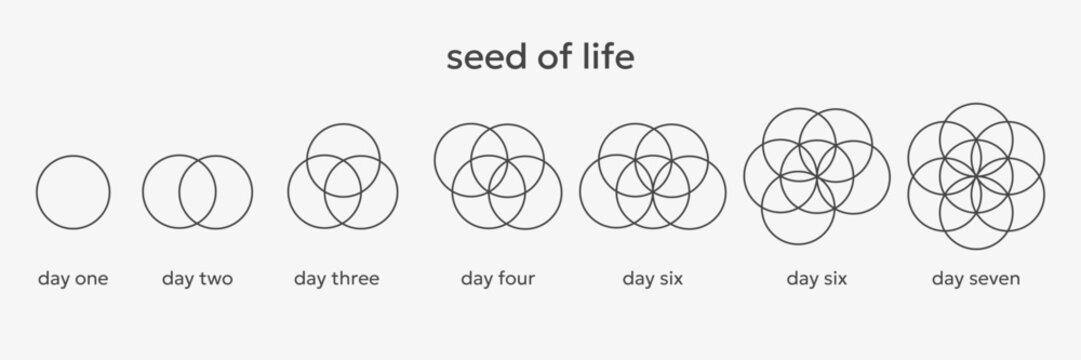 Seed of life concept. Secred shapes