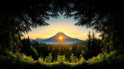 Majestic Sunrise Mountain Framed by Forest Canopy