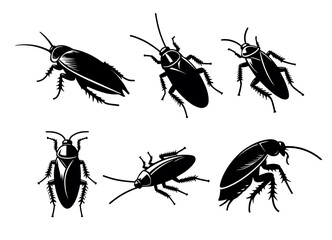 Cockroach silhouette set insect illustration. Cockroach black silhouette icon vector anatomy design