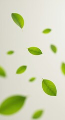Fresh green leaves floating gracefully in the air against a soft, light background 01