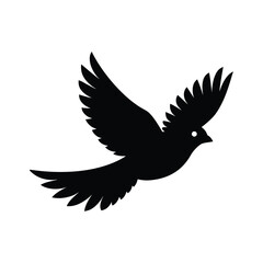 Obraz premium dove of peace flying in sky 