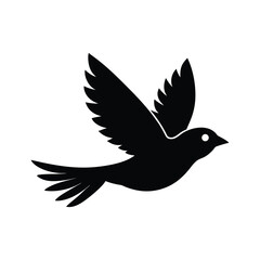dove of peace flying in sky 
