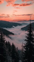 Misty mountain valley at sunset