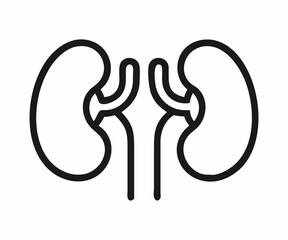 Simple Line Art Illustration of Human Kidneys