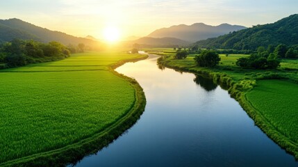 Obraz premium Serene river winding through lush rice paddies at sunrise