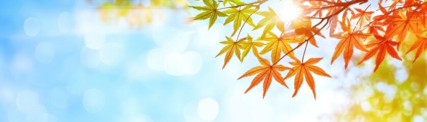 Autumn leaves against a bright sky