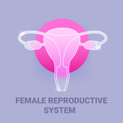 Female reproductive system glass morphism icon. Vector uterus symbol
