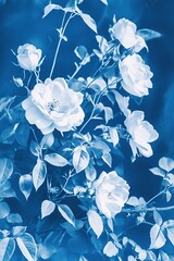 vertical retro floral sun print image cyanotype roses flowers, stylish cyan botanical card
