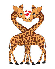 Couple Giraffe Love Heart Shaped Illustration