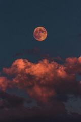 Blood moon or red moon, a natural phenomenon,with cloud on dark Sky © Khair
