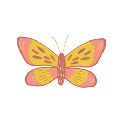 Cute children butterfly with beautiful pattern on wings in yellow and pink colors. Isolated vector illustration on white background.
