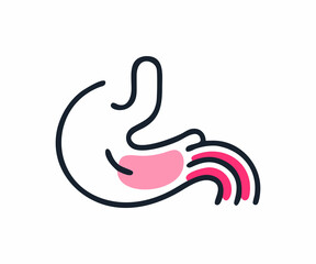 Simple Illustration of the Human Stomach