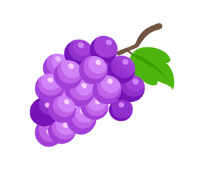 A cartoon-style illustration of a bunch of purple grapes, showcasing a stem with leaves.