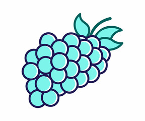 A cartoon-style illustration of a bunch of purple grapes, showcasing a stem with leaves.