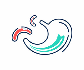 Simple Illustration of the Human Stomach