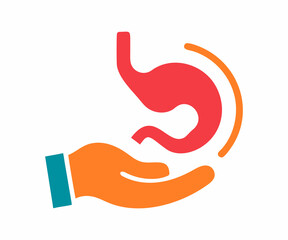 Simple Illustration of the Human Stomach