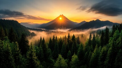 Sunrise over mountain range, misty valley, dense forest.  Possible use Nature wallpaper, travel brochure
