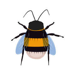 Insect bumblebee isolated on white background. Vector illustration.
