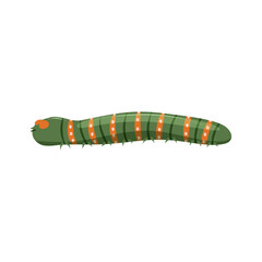 Crawling insect caterpillar isolate on white background. Cute children animal vector illustration.