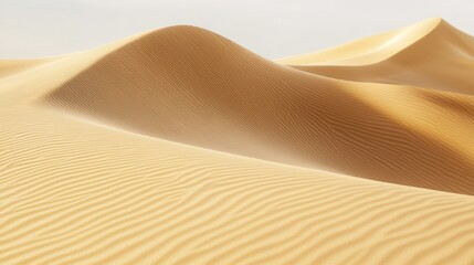 Golden Sands: A Desert Landscape