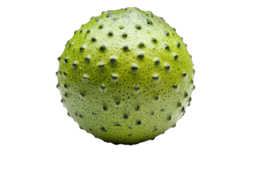 A striking soursop glistening with morning dew invites tropical zest against a dramatic stark black backdrop sharp focus