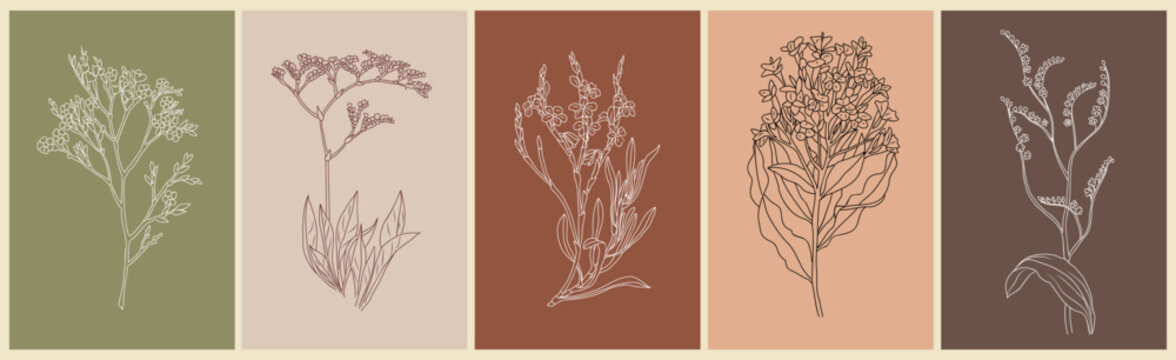 Limonium flowers set. Outlined Statice floral plants with blooms. Vintage botanical drawing of Sea-Lavender. Blossomed Caspia. Hand-drawn vector illustrations wall art with earth tone backgrounds.