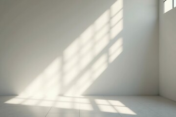 Obraz premium Minimalistic sunlight shadows casting on empty white wall