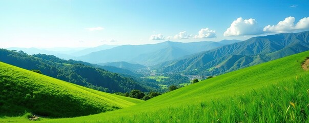 A scenic view of rolling green hills with a background of a clear blue sky and distant mountains, featuring lush farmland and native Brazilian flora,  mountains,  horizon