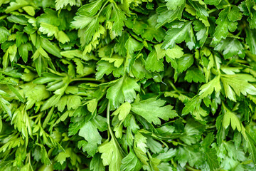 parsley ties