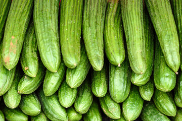 fresh green cucumbers